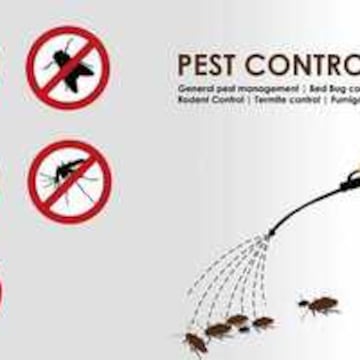 Proactive Pest Solution