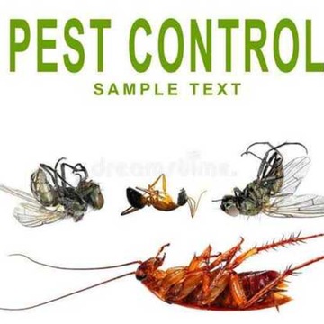 High Secure Pest Control