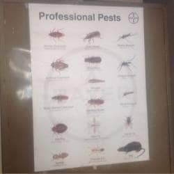 Tej Pest Control Services