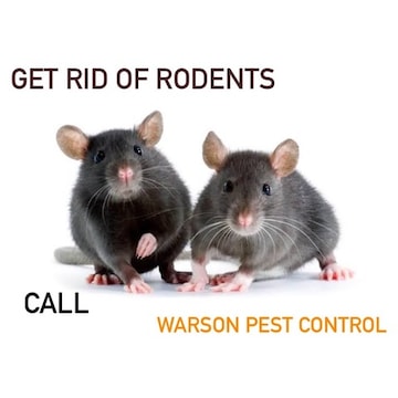 Warson Pest Control
