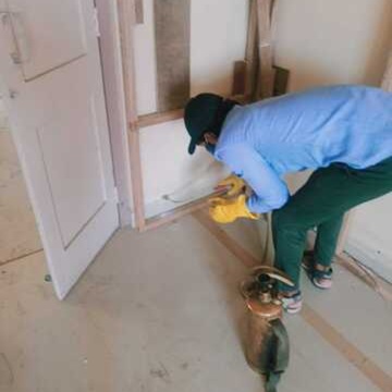 Perfect Pest Control