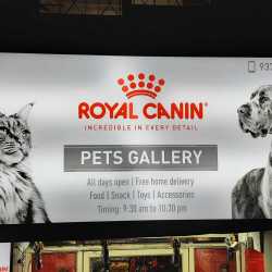 Pets Gallery