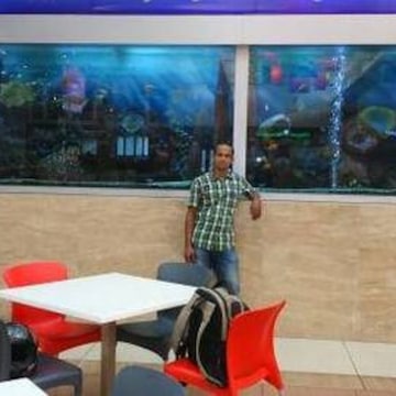 Rasika Aquarium