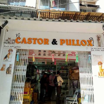 Castor & Pullox Pets Shop