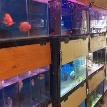 Aakar Aquarium