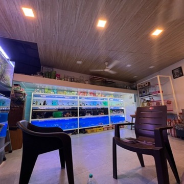 Amar Fish Aquarium