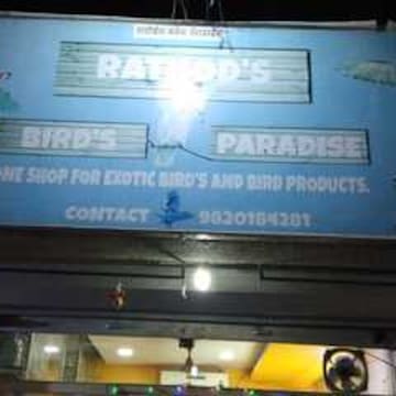 Rathods Birds Paradise