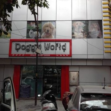 Doggy World