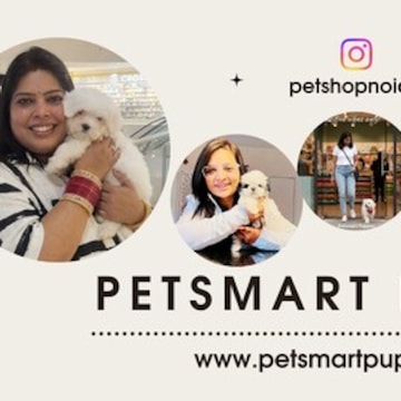 Petsmart Puppies