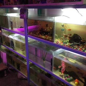 Bengal Aquarium
