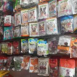 The Pet Shop