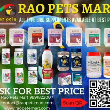 Rao Pets