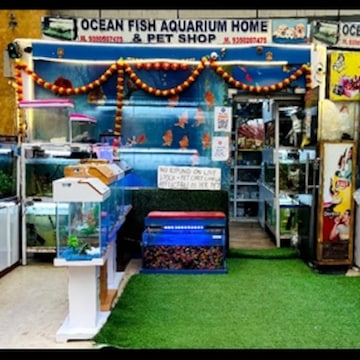 OCEAN FISH AQUARIUM & PET SHOP