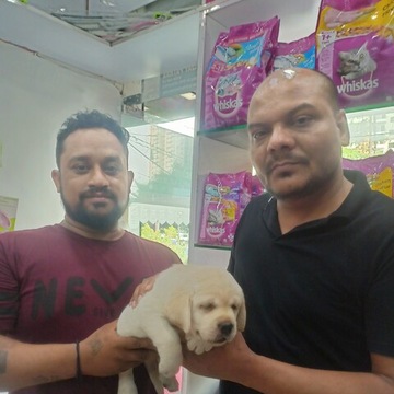 GARHWAL PET SHOP & PET CLINIC AND FISH AQUARIUM