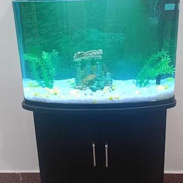 The Pet Store & Care Centre Clinic