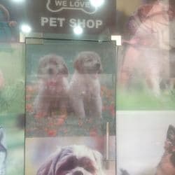 Royal Pet Shops