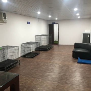 Ard Pet Hospital