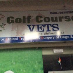 Golf Course Vets