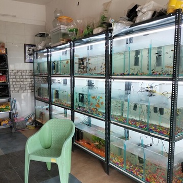 Pet Care 4 Sure