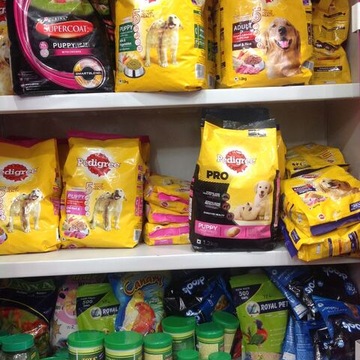 Raman Pet Store
