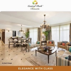 Pearl Realtor