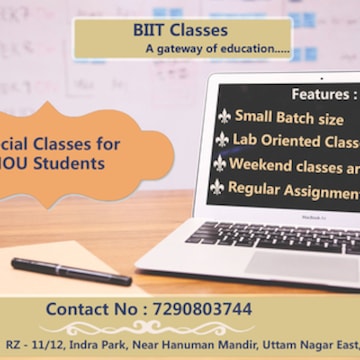 Biit Classes Bca Mca