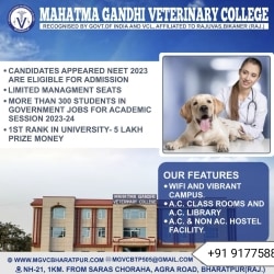 Apollo Educational Services