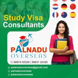 Palnadu Overseas Educational Consultancy