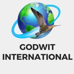 Godwit International