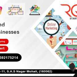 Rg Startup (Web Solution Company)