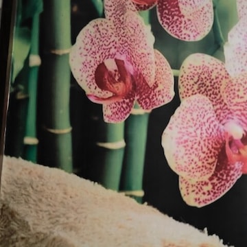 Glow Thai Spa