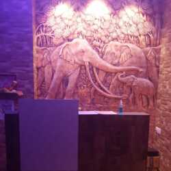Murphy Express Spa and Salon