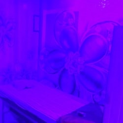 The Signature Spa