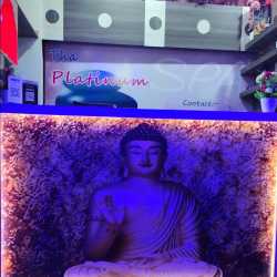 The Platinum Spa