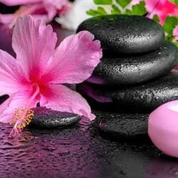 A- One Spa and Therapy Centre