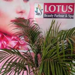 Lotus Beauty Parlour