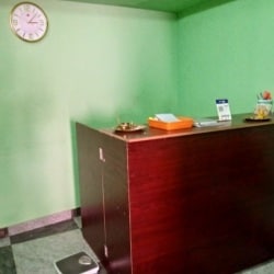 Nellai Taamiraa