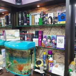 Balu Bharat Hair Saloon