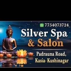 Silver Spa and Salon