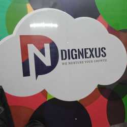 Dignexus