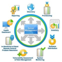 Innovative Web Solutions
