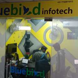 Bluebird Infotech