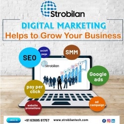Strobilan Technologies