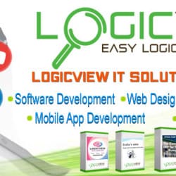 Logicview It Solutions