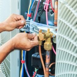 National Perfect Service