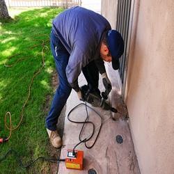Green Hi Care Pest Solutions & Consultant