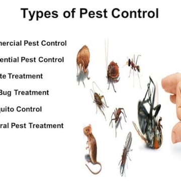 Friendly Quick Care Pest Control Services