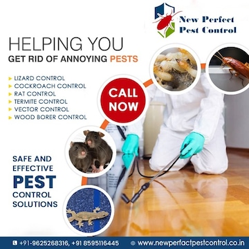 New Perfect Pest Control Services