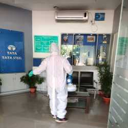 Mourier Pest Control Service
