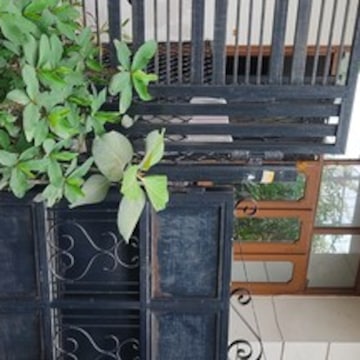 Natural Herbal Pest Control